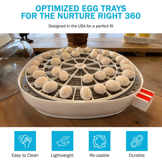Incubator Warehouse Egg Trays for 48 Small (Quail/Bird) Eggs - Durable Egg Tray for Nurture Right 360 Egg Incubator - Hand Washable Eggs Keeper for Chicken Goose Turkey Emu (Various Sizes)