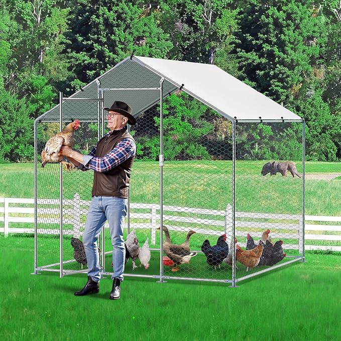 VEVOR Metal Chicken Coop, 6.56x6.56x6.56ft Walk in Chicken Runs for Yards with Cover, Spire Roof Hen House Enclosure with Security Lock, Outdoor Duck Rabbit Poultry Cage Pen for Backyard, Farm, Yard