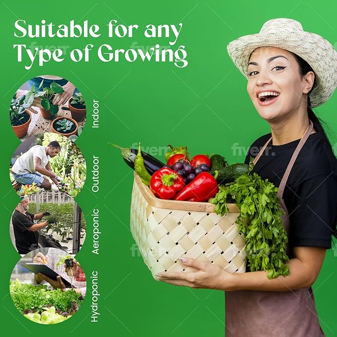 Heirloom Seeds Combo Pack Fruit and Vegetables Over 8,000 Seeds (38 Varieties) and Medicinal/Cooking Herbs Packs Over 12,000 Seeds (27 Varieties) for Your Garden (65 Total Combined Varieties)