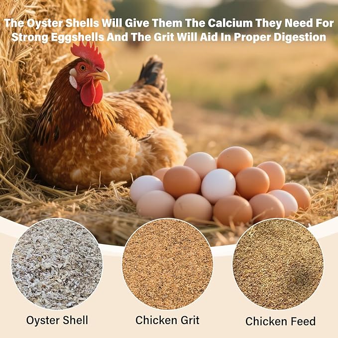 2 Pack Chicken Oyster Shell Feeder and Grit Device, Corner Chicken Feeder, Coop Accessories, Suitable for Hens and Chicks (Black + Red - 2)
