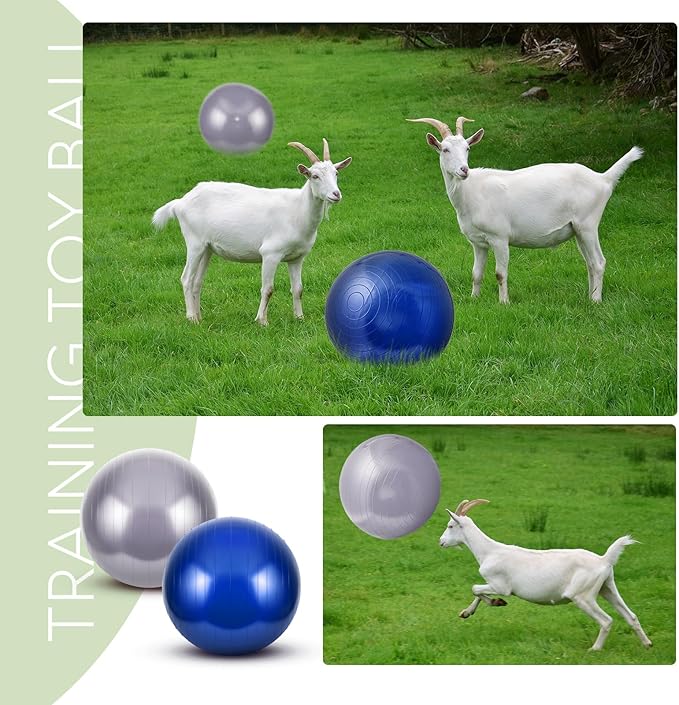 Sotiff 2 Pcs Herding Goat Ball Large PVC Exercise Training Ball with Inflator Pump for Dogs, Goats, Horses Outdoor Entertainment