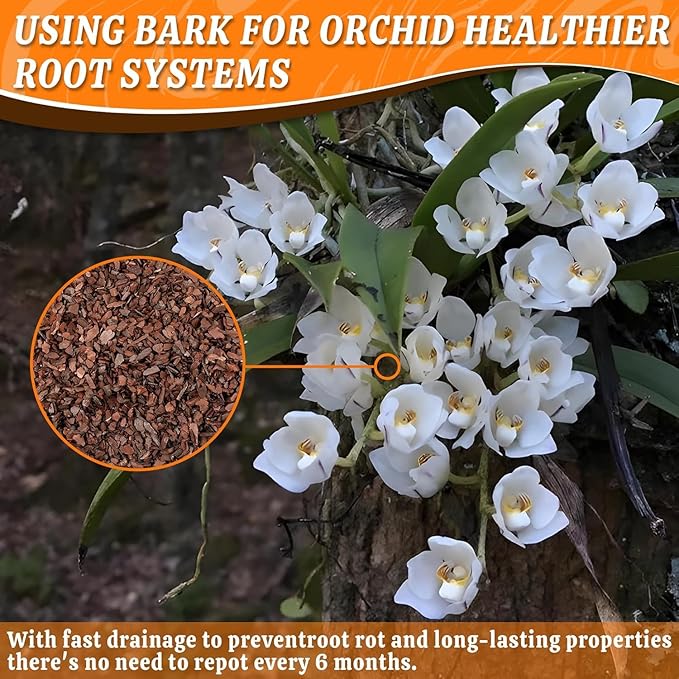 Orchid Potting Bark-6QT Organic Orchid Bark for Plants, All Natural Pine Bark Wood Chips for Houseplant Mulch, Orchid Plants Root Development, Mulch for Potted Plants