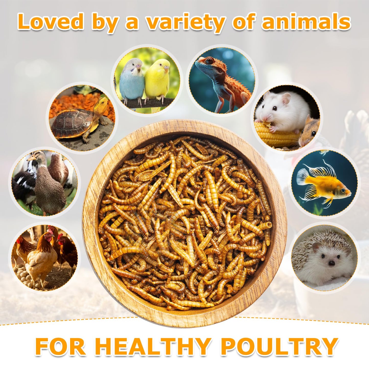 JANIO Dried Mealworms 5 LBS Meal Worms for Chickens, 100% Natural Non-GMO, Chicken Feed Mealworms for Birds