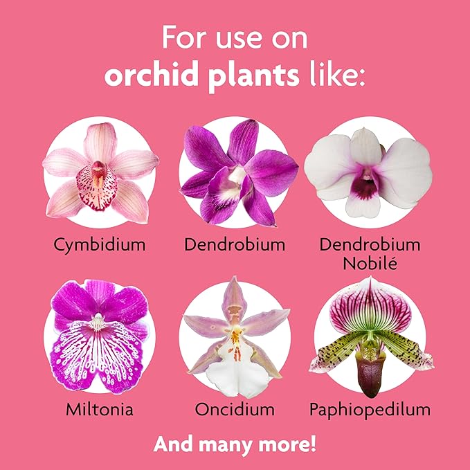 Miracle-Gro Orchid Care Bundle, Includes Potting Mix and Plant Food Mist, For Indoor and Outdoor Container Orchids