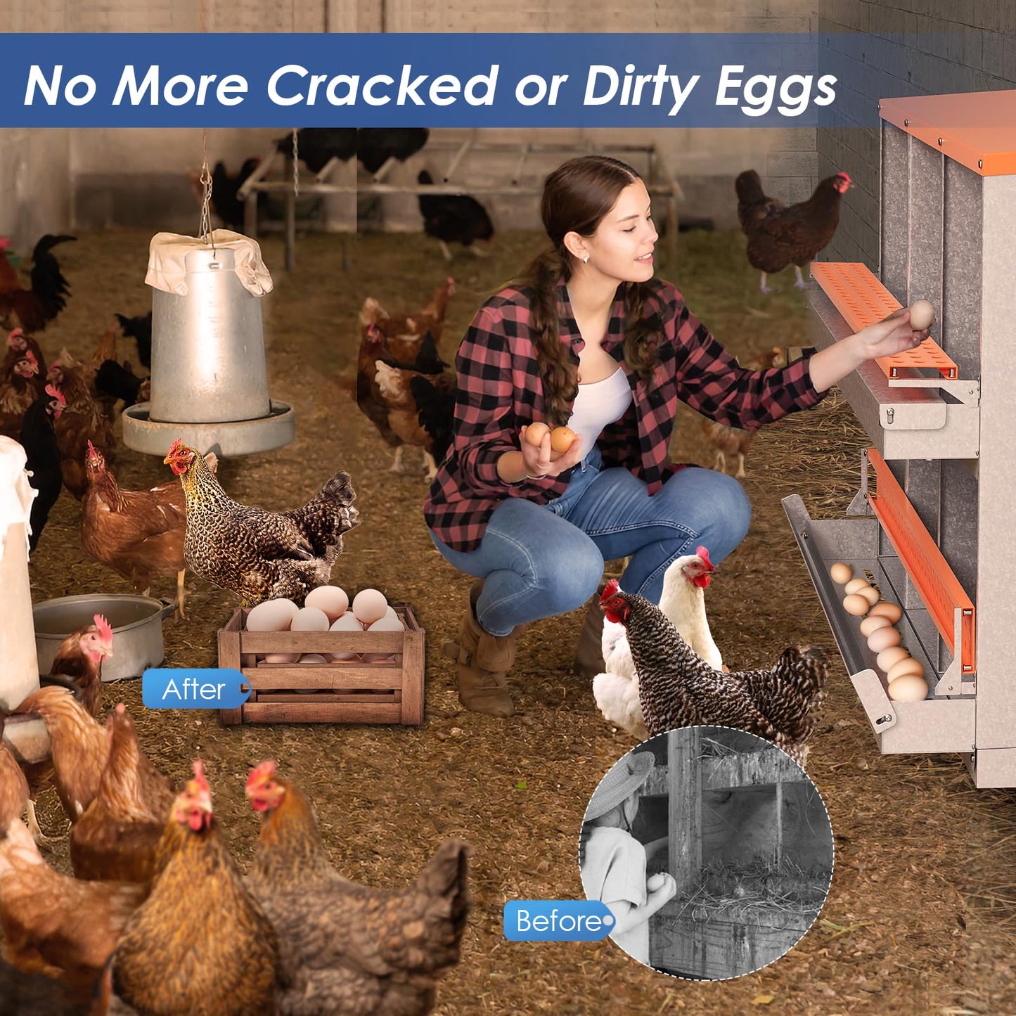 Chicken Nesting Box, 6 Compartment Metal Nesting Boxes for Chickens Laying Eggs, Rust Proofed Nest Box with Roll Away Egg Collection Laying Box for Chicken Coop