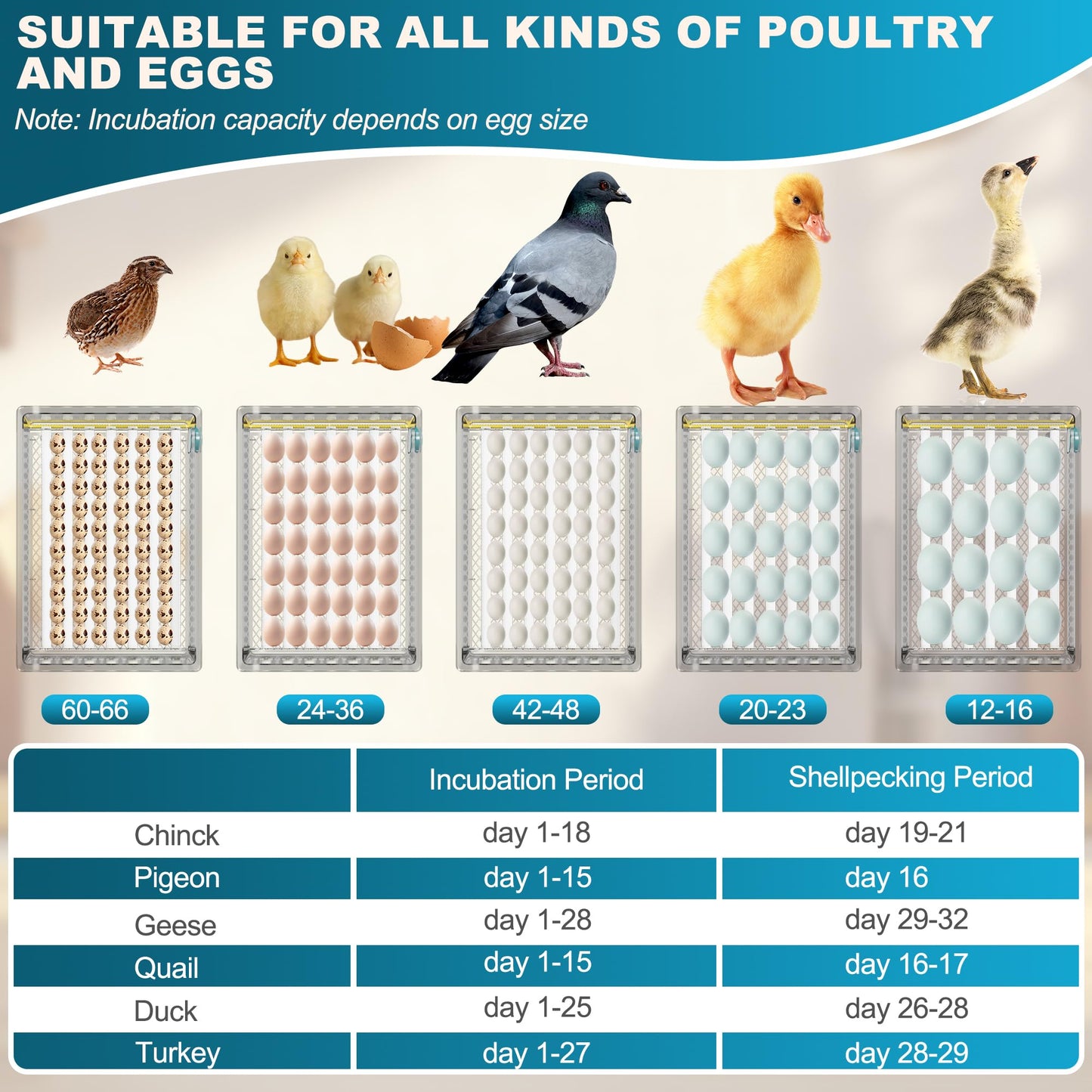 Loyfoly Incubators for Hatching Eggs, 36 Egg Incubator with Automatic Egg Turning and Humidity Control, Chicken, Duck, Goose, Bird, Quail, Incubator for Farm, Lab, Home（Blue）