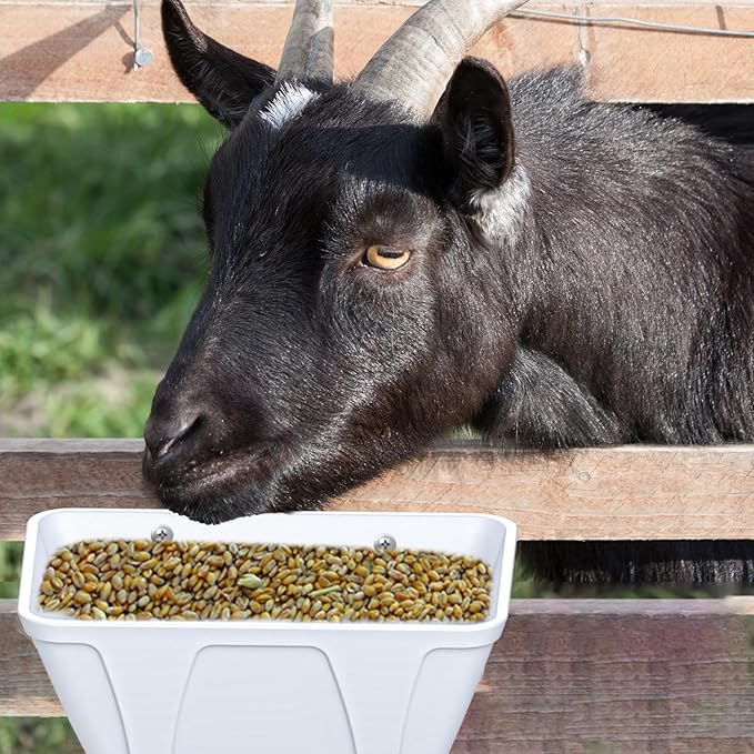 Hanging Chicken Feeder Trough for Goat Sheep Deer Poultry Duck Chicken Fence Feeder Livestock Feeding Container Goats Supplies Feeders Waterer Bucket (White)
