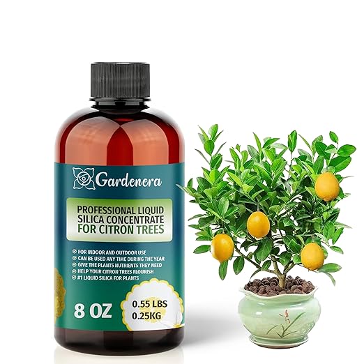 𝐏𝐑𝐄𝐌𝐈𝐔𝐌 Liquid Silica Plant Supplement - 8oz (250mL) - Citron Tree Liquid Silica Boost Fertilizer - Stronger Stems & Healthy Leaves for Indoor & Outdoor Citron Trees Plants (Makes 45 Gallons)