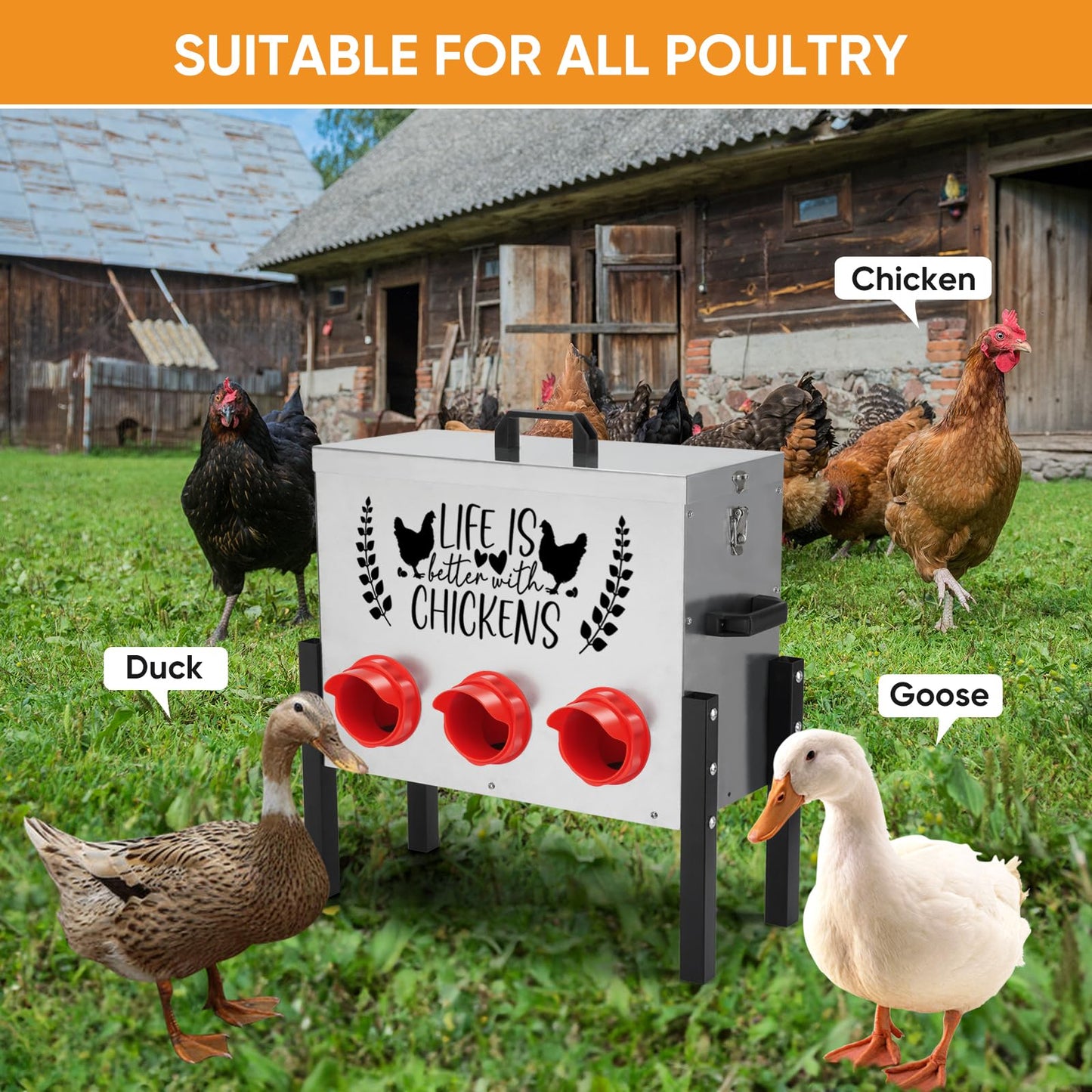 ‎Tgeyd Chicken Feeder Box 30 lbs Galvanized Metal, 6 Feeding Ports, Comes with Metal Feeder Box Stands for Chickens, Ducks, Geese