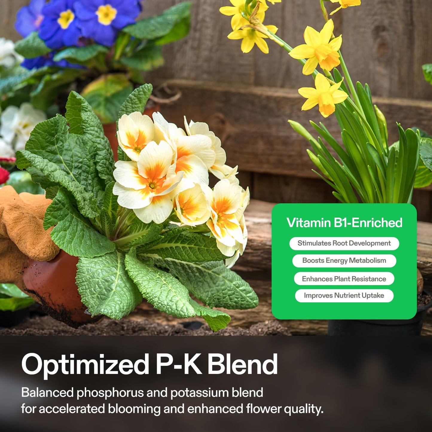 VIVOSUN Nutrient Solution Complete Set, Base A & B Bundle, Bloom Juice (0-6-4), Flowering Supplement Fertilizer, Cal+Mag+Iron (2-0-0), Calcium, Seaweed and Kelp Fertilizer and pH Up & pH Down Kit