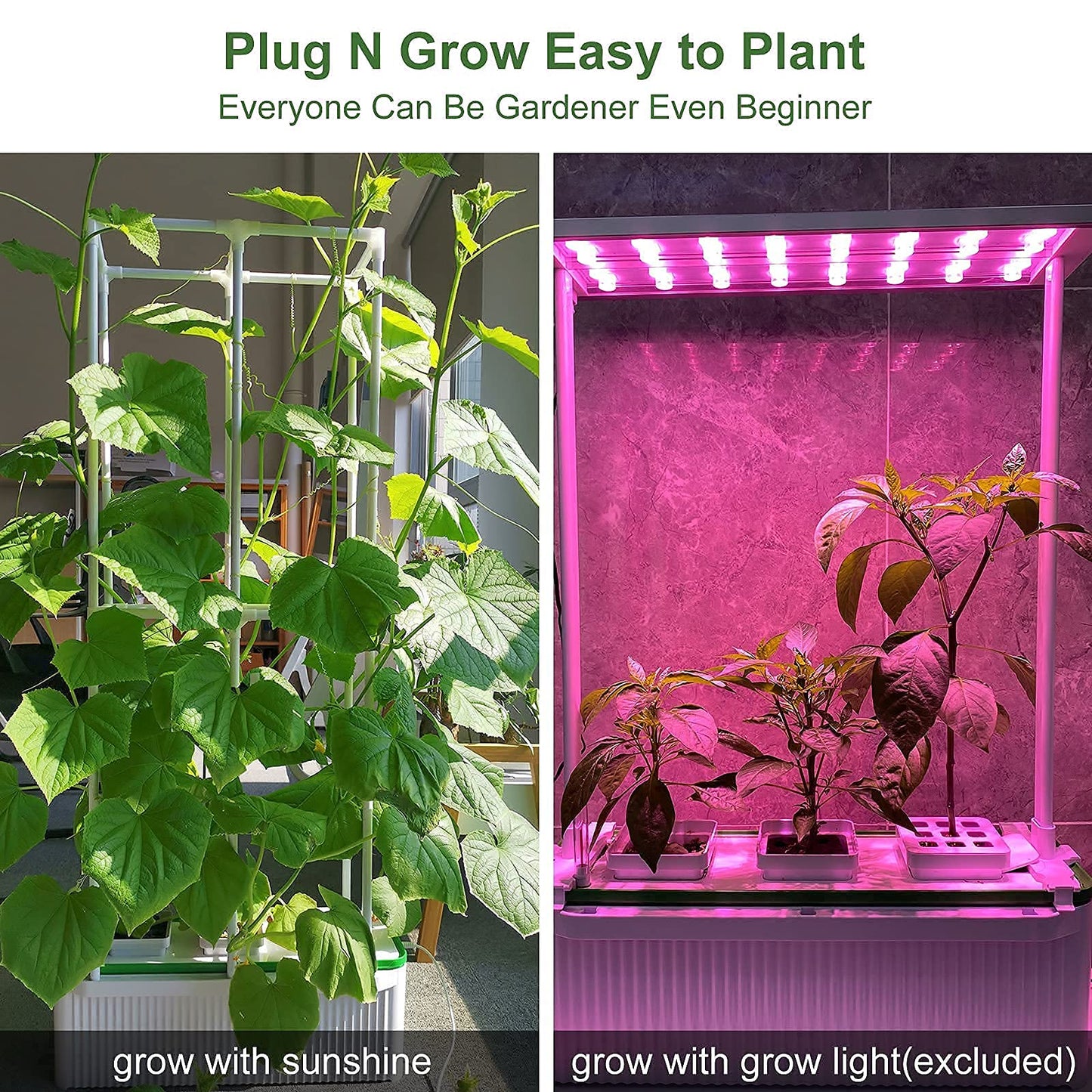 Large Smart Hydroponics Growing System kit,7L Indoor Hydroponic Garden Plant Grow Kit for Herb,Tomato,Pepper,Cucumbers,Vines Plants, Gardening Gift Choice for Wife,Husband,Mom (60“ Trellis No Light)