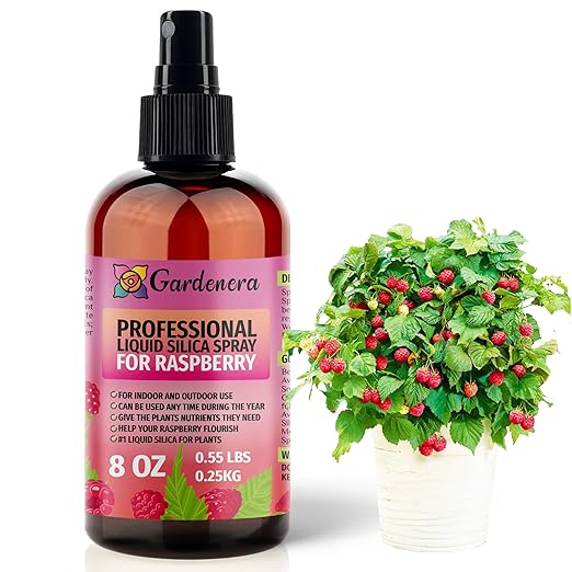 𝐒𝐔𝐏𝐄𝐑𝐈𝐎𝐑 Liquid Silica Boost Fertilizer and Supplement Spray for Raspberry Plants – Pre-Mixed, Ready-to-Use Liquid Silicon Plant Superfood Mist for Indoor & Outdoor Plants – 8oz