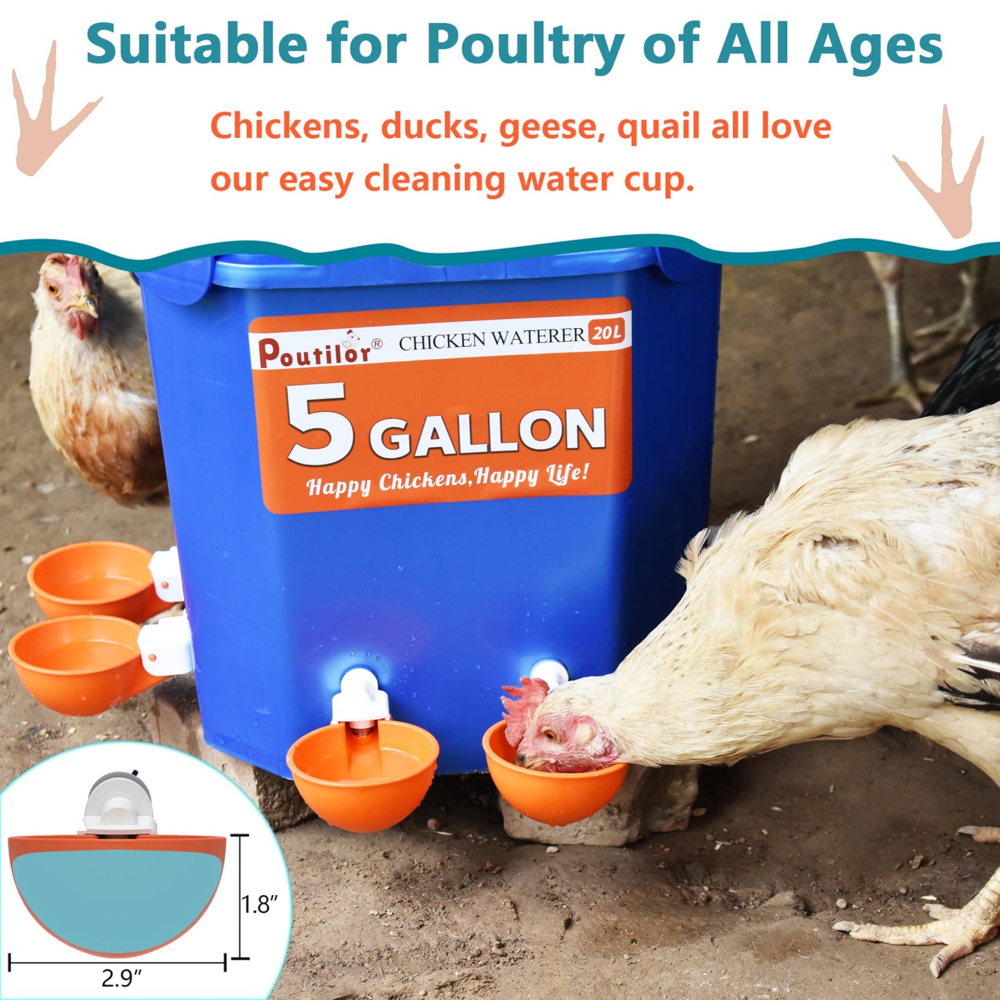 No Waste Chicken Feeder and Waterer Set, Automatic Chicken Feeder Ports & Large Waterer Cups, with Rat Stopper Caps, DIY Poultry Water Feeder kit with 2 Sizes of Hole Saws (6+6 Packs)