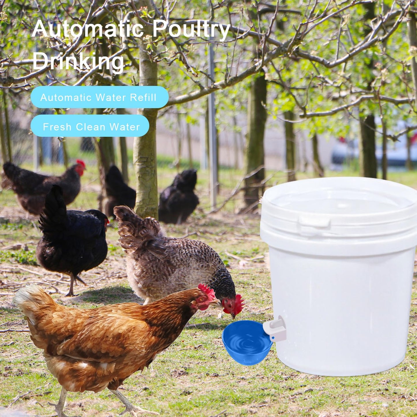 Chicken Waterer Cups, 8 Packs Blue Large Chicken Watering Cups, Automatic Chicken Water Cups, Tee Fittings Poultry Feeder Cups Suitable for Chicken, Duck, Goose, Turkey with Mounting Hole Opener