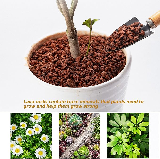 14lb Red Lava Rock for Plant, Horticultural Volcanic Rock Soil for Decorative Landscaping Bonsai, Cacti, Succulents Plants Top Dressing for Release Excess Water