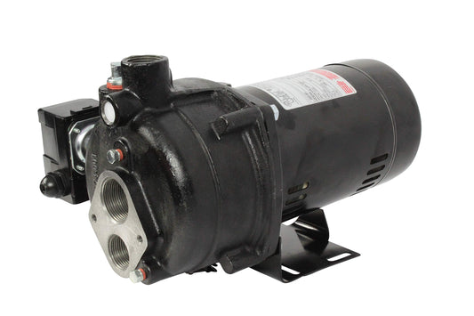 WAYNE CWS100 - 1 HP Cast Iron Convertible Jet Well Pump - Up to 588 Gallons Per Hour - Heavy Duty Jet Well Pump, Black