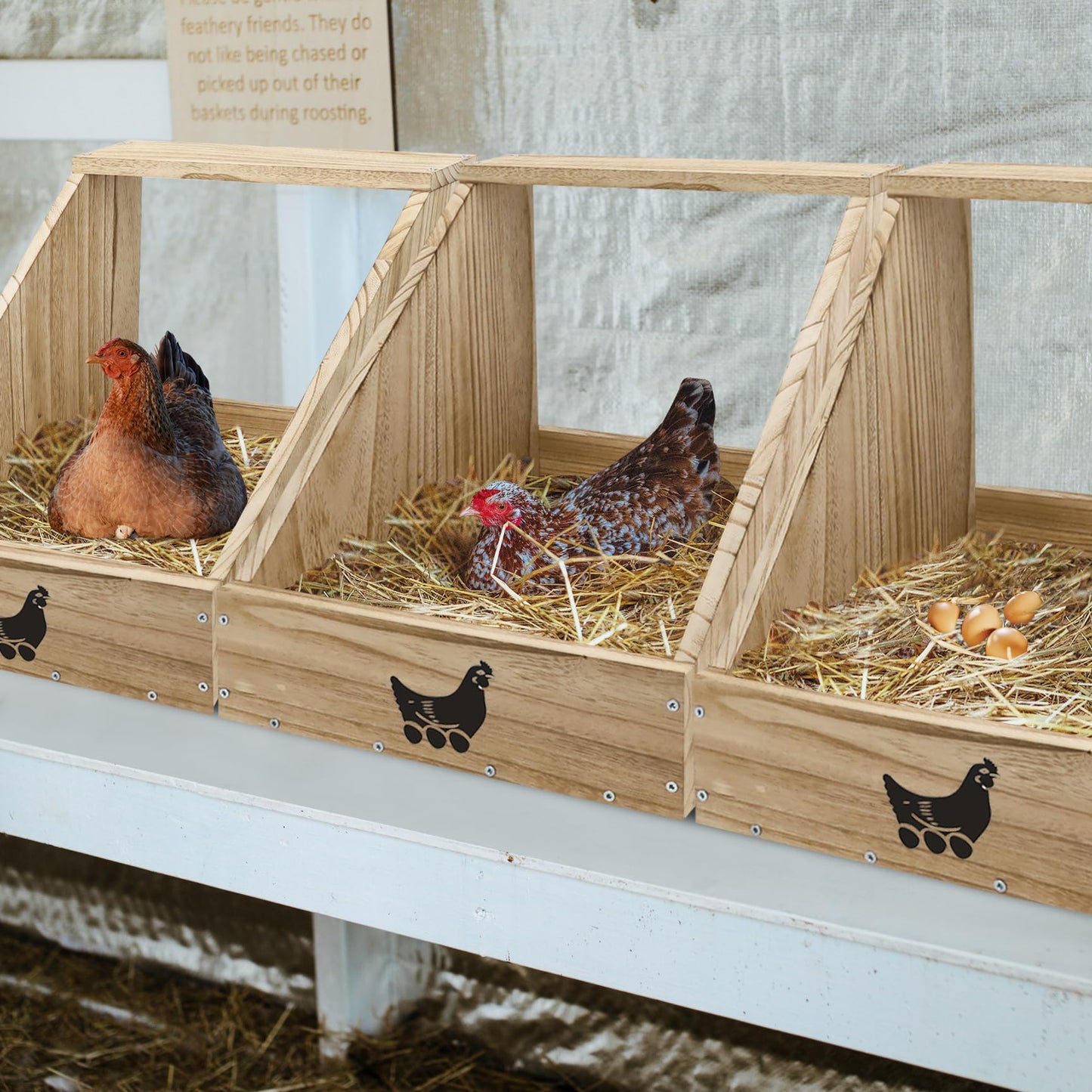 Nesting Boxes for Chickens - Wooden Chicken Nesting Box for Chicken Coop Accessories, Sturdy Wall Mount Egg Laying Box for Hens, Chickens, and Ducks（2 Pack）