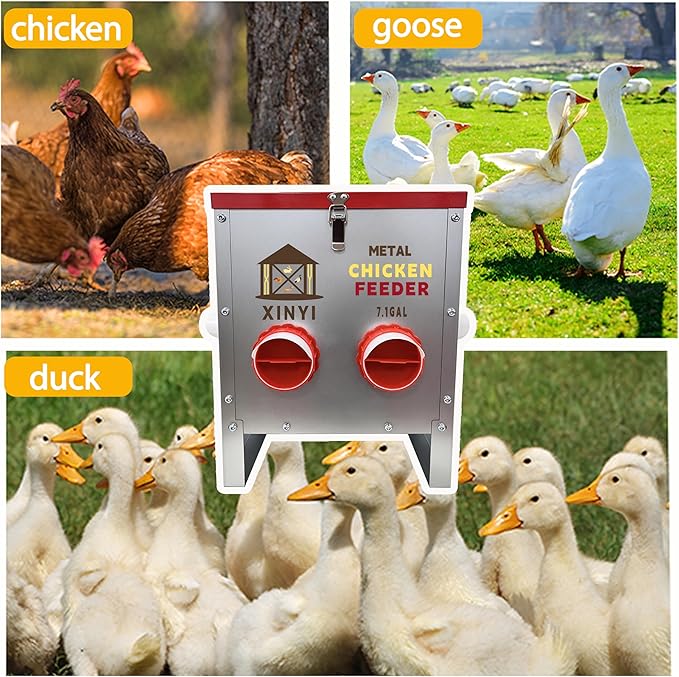 XINYI 35 lb Automatic Chicken Feeder 6 Ports, Metal Chicken Feeder No Waste, Rodent Proof Chicken Food Dispenser System, Weatherproof Duck Feeder 7.1 Gallon