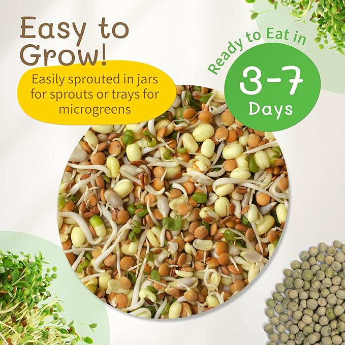 The Sprout House Assorted Mix Sprouting Seeds - Grow Fresh Sprouts & Bean Sprouts at Home, Organic, Non-GMO, Nutrient-Packed for Salads, Sandwich & Smoothies, Premium 12 Pack | 2 oz Each