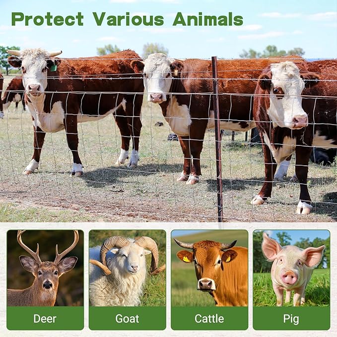 5ft x 164ft Galvanized Farm Fence, Cattle Fence, Hog Wire Fence Panels, Wire Fence Rolls, Heavy Duty Wire Mesh for Deer, Pig, Sheep Enclosure for Yard, Garden, Field Use-14 Gauge