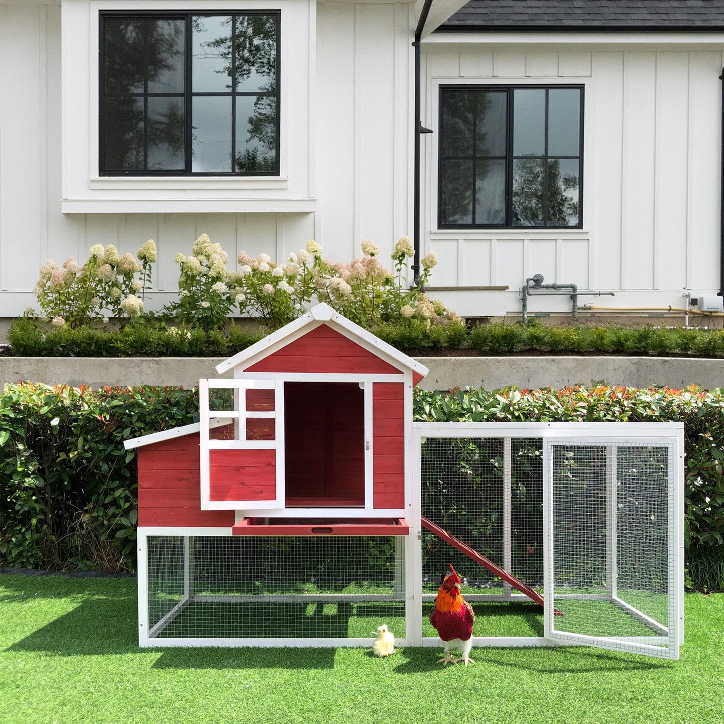 Hanover Outdoor Elevated Wooden Chicken Coop with Ramp, Nesting Box, Large Wire Mesh Run, Waterproof Roof, Removable Tray, Ventilated Fir Wood Chicken Run, Perfect for Backyard, Patio, or Lawn