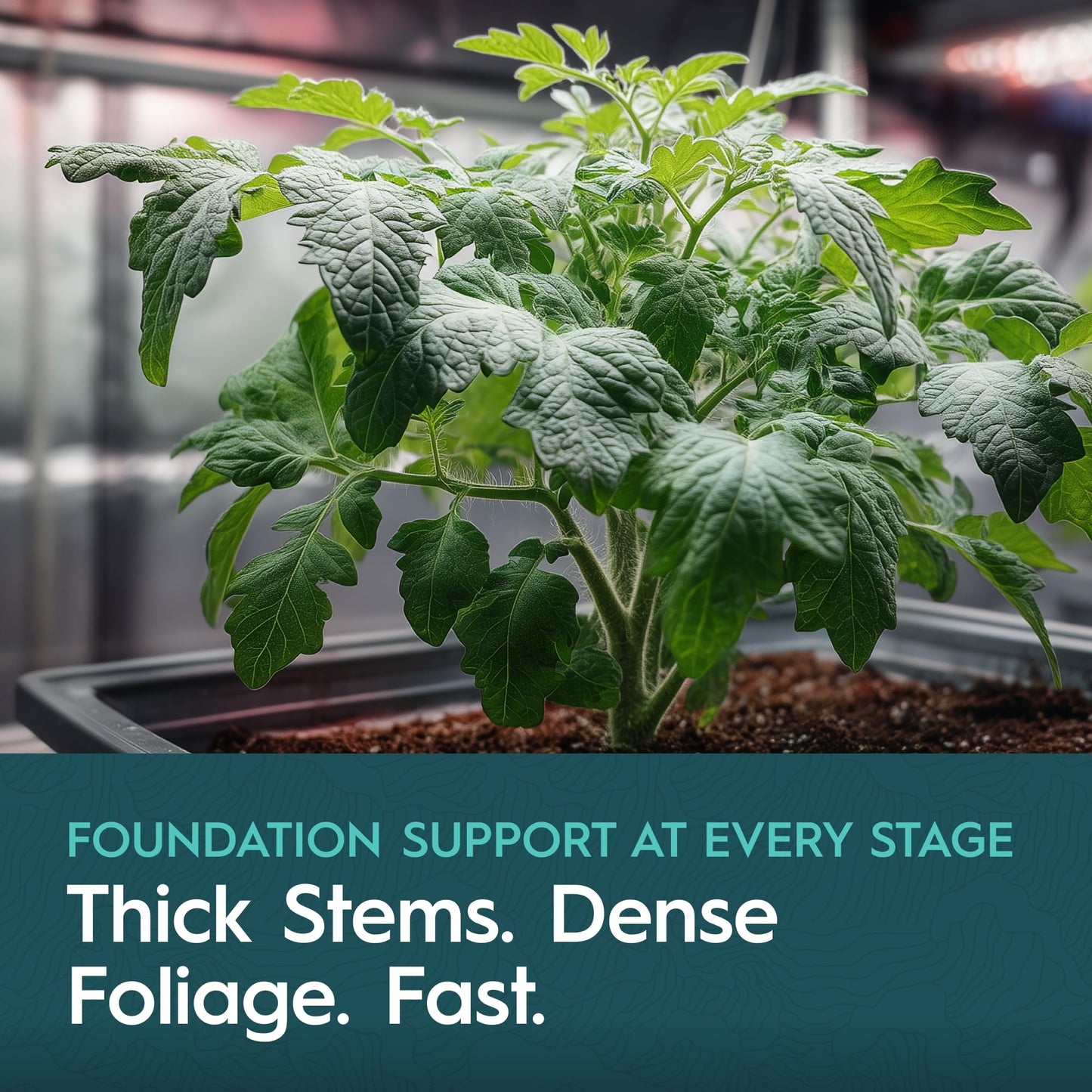 Drip Hydro Base A 5 Gallon | Liquid Nutrient Solution | Essential Macronutrients & Chelated Micronutrients for Hydroponics & Soil Cultivation