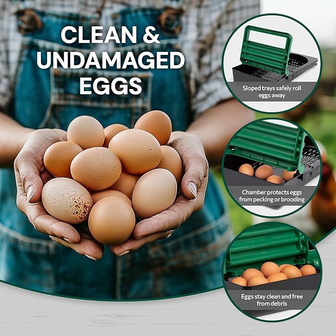 Classic Style 3 Compartment, Forward Rollout & Rollaway, Hen & Chicken Nesting Box with Integrated Perch and Protective Egg Laying Collection Lids