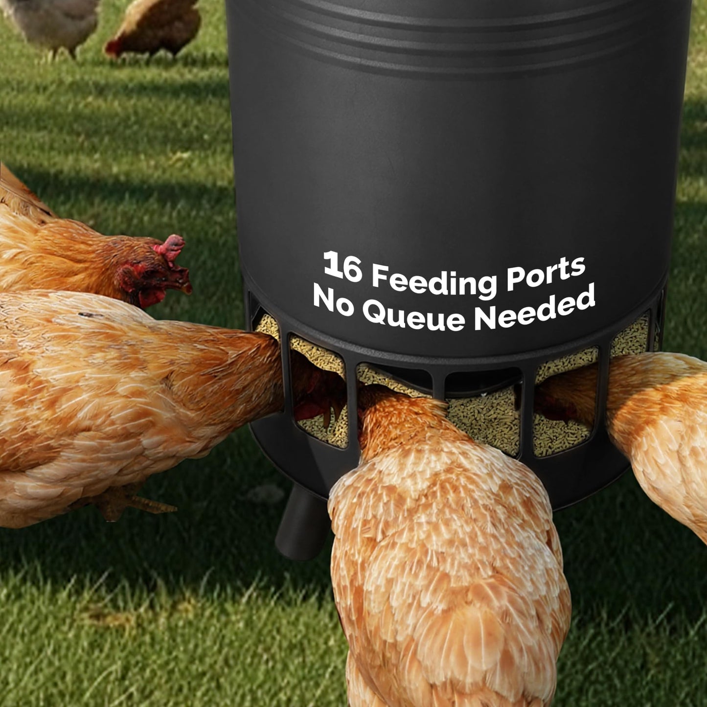 Solution4Patio 50LB No-Waste Chicken Feeder, Large Capacity Gravity Dispenser with Spill Control & 16 Feeding Ports Poultry Feeder for Outdoors & Hen Coop (Black)
