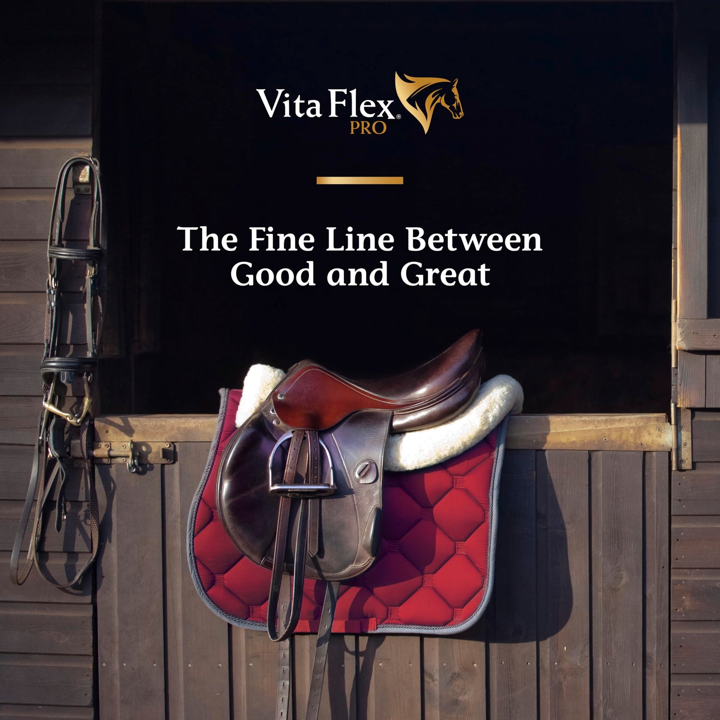 Vita Flex Pro Lactanase Pre Performance, show safe* muscle and metabolism support
