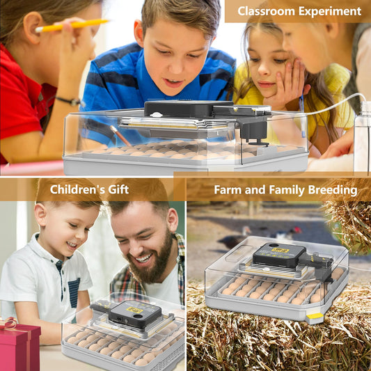 New Egg Incubator with Automatic Egg Turning and Humidity Control and Alarm, Incubators for Hatching Eggs at Home(Chicken, Goose, Bird, etc), with Display and 360° View, Backyard, Farm (Black-48 Eggs)
