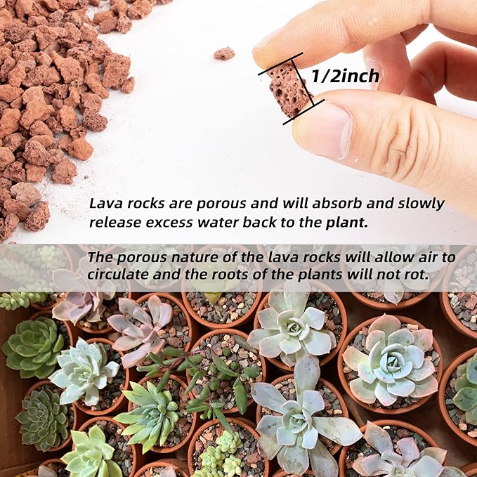 14lb Red Lava Rock for Plant, Horticultural Volcanic Rock Soil for Decorative Landscaping Bonsai, Cacti, Succulents Plants Top Dressing for Release Excess Water