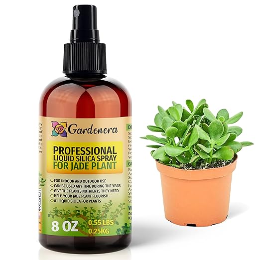 𝐒𝐔𝐏𝐄𝐑𝐈𝐎𝐑 Liquid Silica Boost Fertilizer and Supplement Spray for Jade Plants – Pre-Mixed, Ready-to-Use Liquid Silicon Plant Superfood Mist for Indoor & Outdoor Plants – 8oz