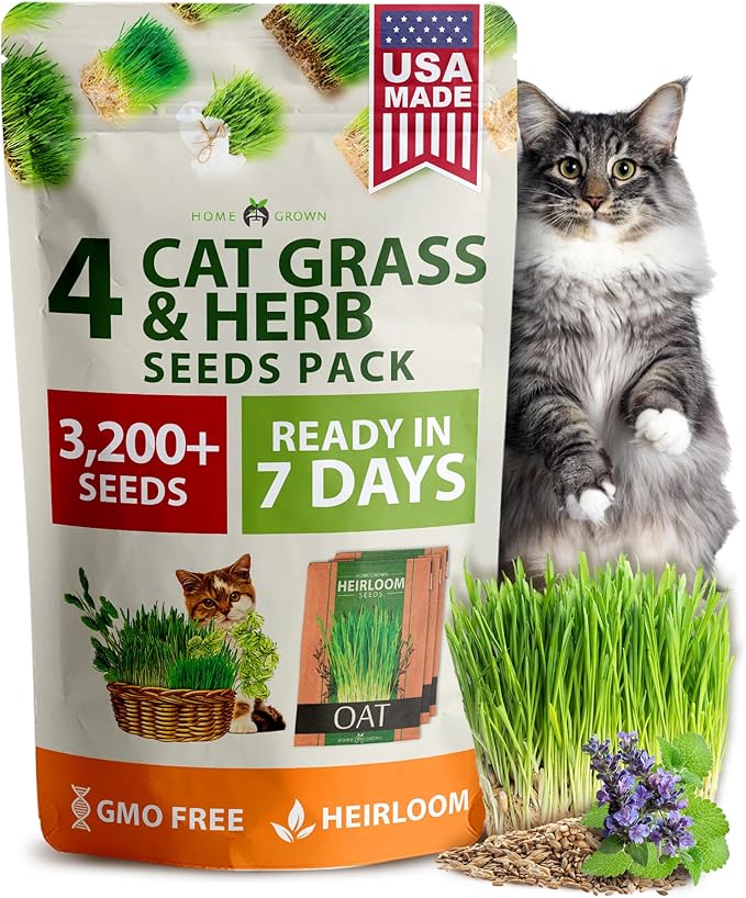 Home Grown 3200+ Indoor Cat Grass Refill – Non-GMO USA Grown Catnip, Oat & Alfalfa Seeds – Cat Grass Kit Replacement – Fast-Growing Pet Grasses for Cats’ Digestion & Hairball Relief