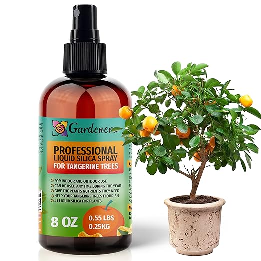 𝐒𝐔𝐏𝐄𝐑𝐈𝐎𝐑 Liquid Silica Boost Fertilizer and Supplement Spray for Tangerine Trees – Pre-Mixed, Ready-to-Use Liquid Silicon Plant Superfood Mist for Indoor & Outdoor Plants – 8oz