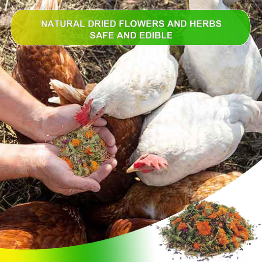 Chicken Nesting Herbs - 14 Oz Natural Nesting Box Herbs in 6 Dried Flower & Herbs for Fresh The Coop Make The Box Smelling Nice and Create Comfortable Environment for Chickens (14oz)