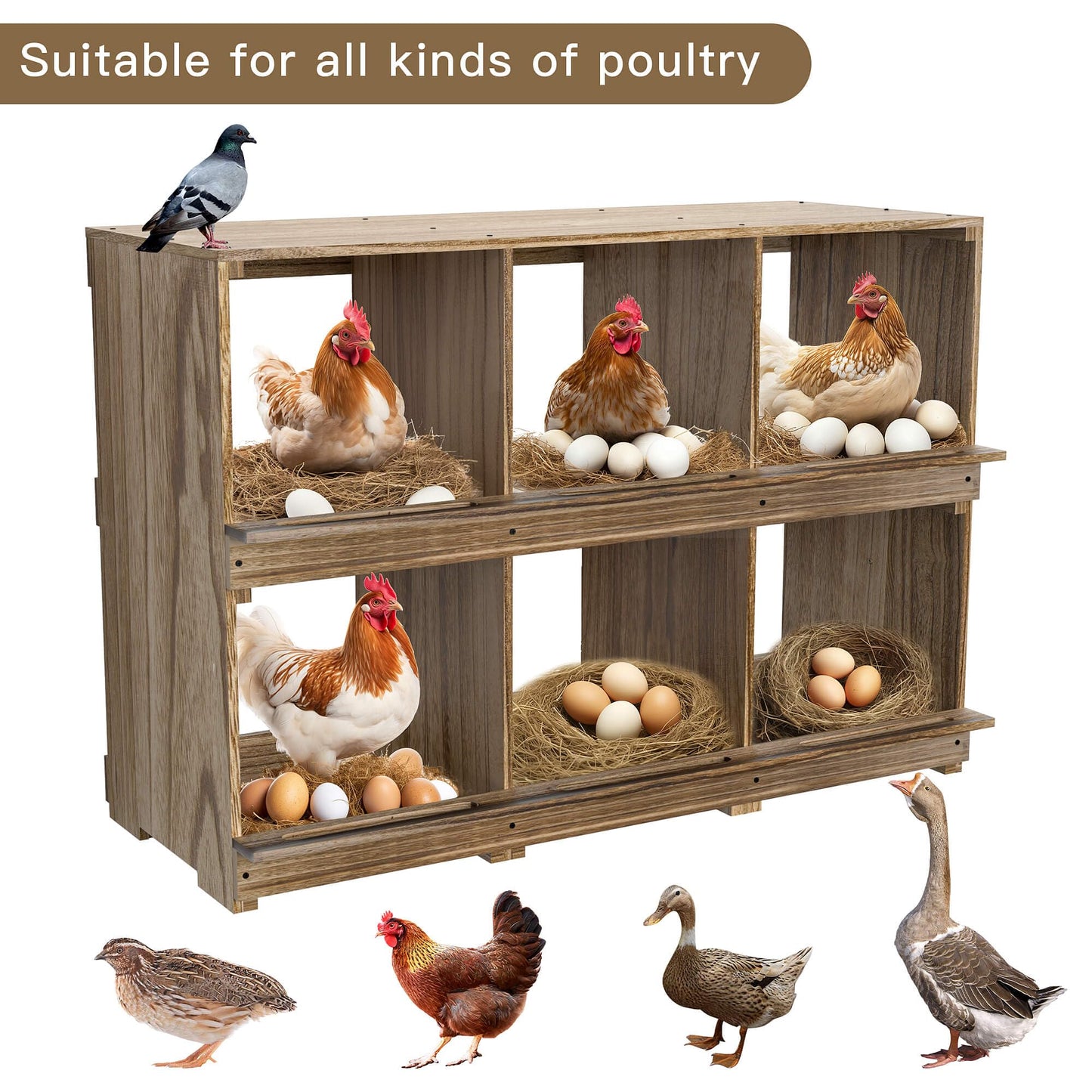 Nesting Boxes for Chickens Coop, Wooden Hens Nesting Eggs Laying Box, Chicken Nesting Boxes Wall-Mounted 6 Compartment