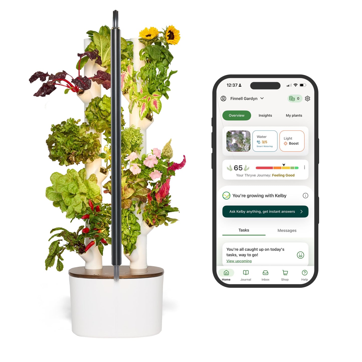 Gardyn Studio Vertical Hydroponics Growing System Kit - 16 Non-GMO Plants, Herbs, Vegetables - Tower Garden - Hydroponic Herb Garden Planter Indoor Kit - Indoor Gardening System with LED Grow Lights