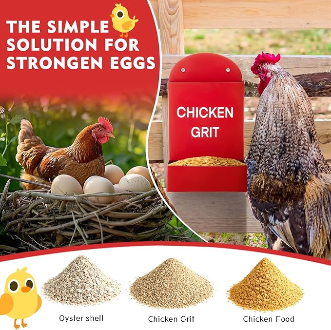 Leinuosen 4 Pack Metal Chicken Oyster Shell and Grit Feeder Combo Large Capacity Hanging Chicken Feeder Trough Automatic Gravity Poultry Coop Accessories Water Dispenser for Chicks, Ducks, Quail