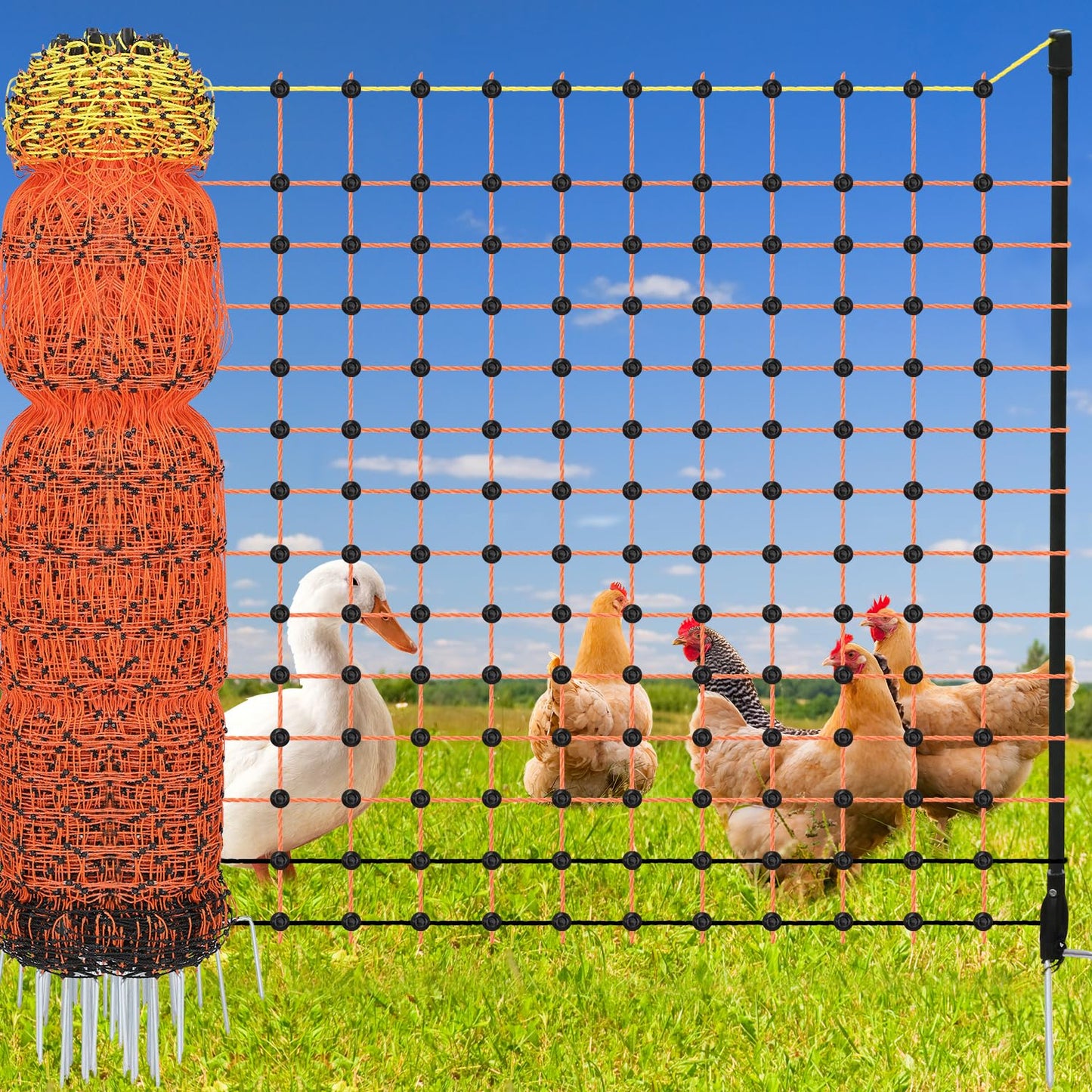 Electric Fence Netting, 48" x 164' Electric Chicken Fence with 16 Posts 2 Spikes, Portable Electric Poultry Netting for Chicken, Duck and Goat, Anti-Predator Electric Fencing in Farms, Ranches