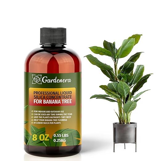 𝐏𝐑𝐄𝐌𝐈𝐔𝐌 Liquid Silica Plant Supplement - 8oz (250mL) - Banana Tree Plants Liquid Silica Boost Fertilizer - Stronger Stems & Healthy Leaves for Indoor & Outdoor Banana Trees (Makes 45 Gallons)