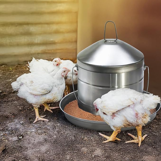 Plexon 17.6 Lb Stainless Steel Hanging Chicken Feeder no Waste Food-Grade Large - Poultry Feeder for Chicken Metal - Heavy Duty Reliable Long-Lasting with Handle