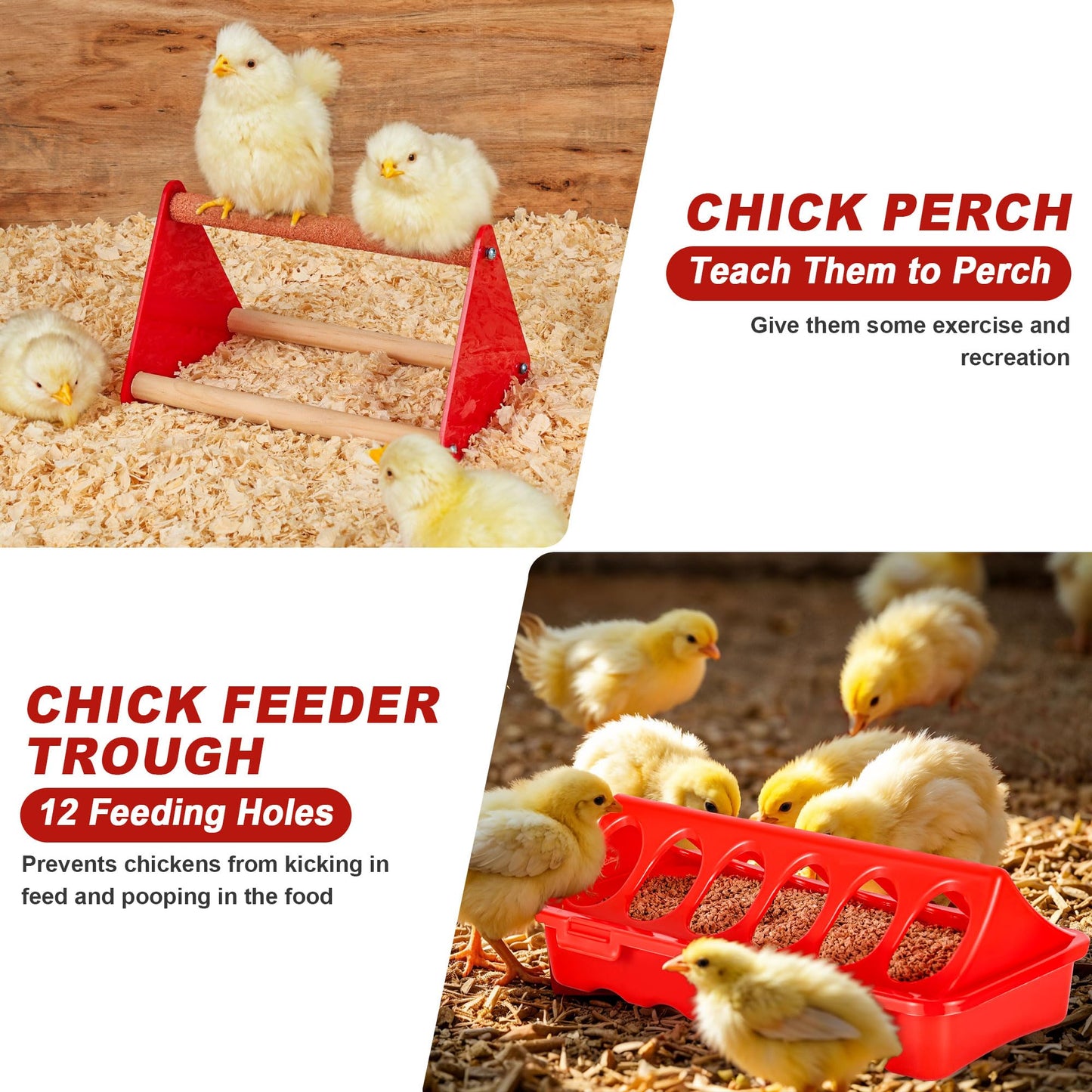 Chicken Brooder Box for Chicks, Brooder Box with Feeder and Waterer, Chick Starter Kit with Chick Perch for Small Poultry Ducks Quail