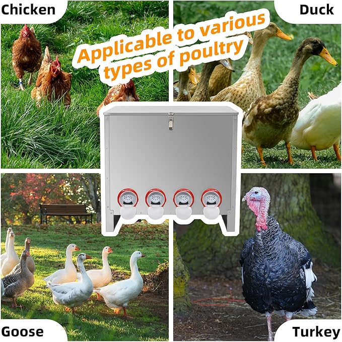 Automatic Poultry Chicken Feeder No Waste Metal Large Capacity 88 lbs Feeders for Chickens Ducks, Geese Bantams Pheasants Coop Weatherproof (10-Port)