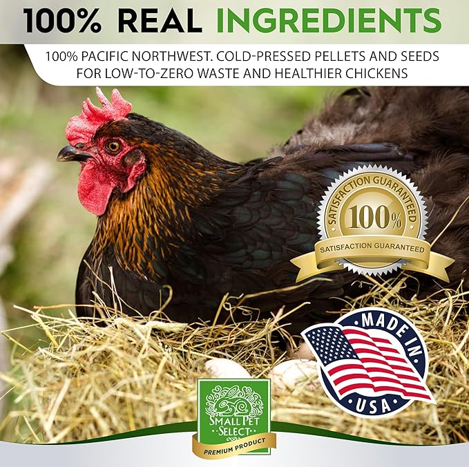 Small Pet Select Chicken Layer Feed, Non-GMO, Corn Free, Soy Free, 18% Protein,10 lb