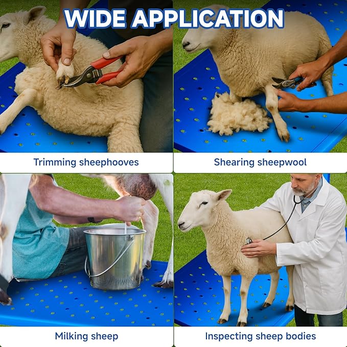 Professional Goat Milking and Trimming Stand with Ramp, Sheep and Goat Grooming Platform, Livestock Care Equipment (Blue with Ramp)