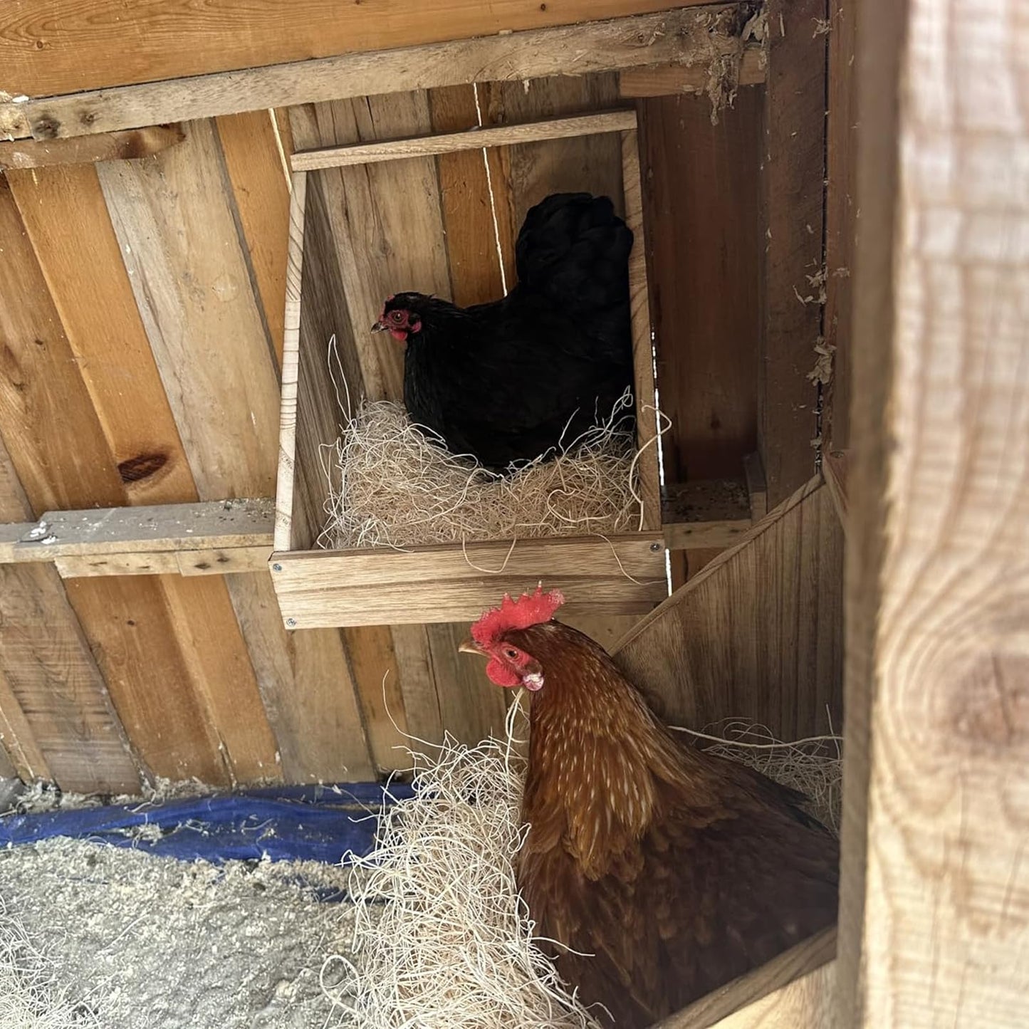 Chewoof 2 Pack Chicken Nesting Box, Wooden Chicken Coop, Chicken Coop Accessories, Chicken Laying Nest Box for Poultry Farm, Poultry Nesting Boxes with Nest Box Pads