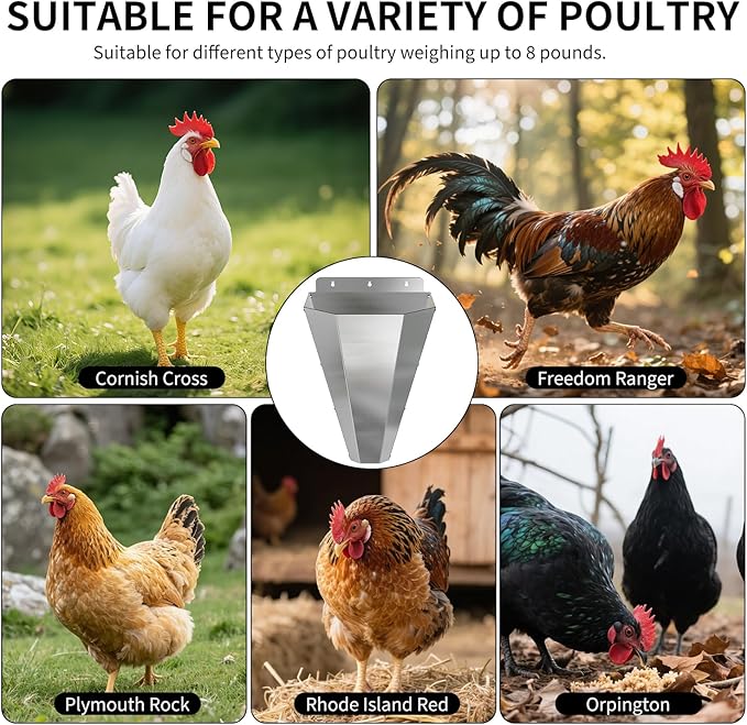 Large Chicken Cone for Butchering, Stainless Steel Kill Cone with Safety Gloves, Flat-Back Design, Chicken Processing Equipment for Farm and Backyard Poultry Up to 18 lbs (Silver)