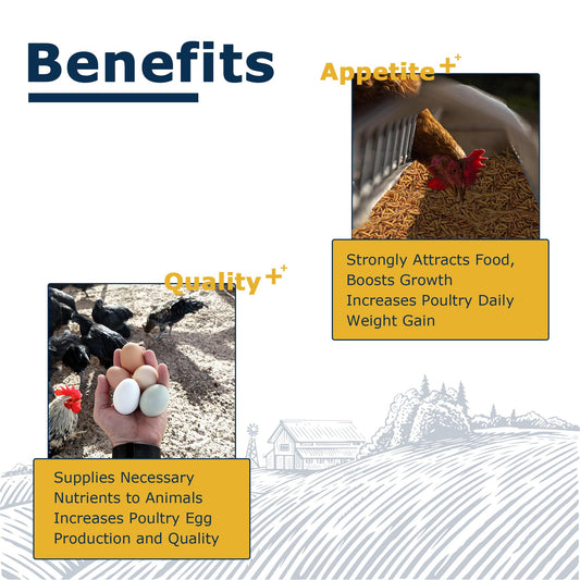 HARTOMPET Nutrient-Rich Chicken Feed - 5LB Dried Black Soldier Fly Larvae, 100% Natural, 85X More Calcium Than Mealworms, Ideal for Molting & Laying Hens, Ducks, and Wild Birds, Reptiles and Hedgehogs