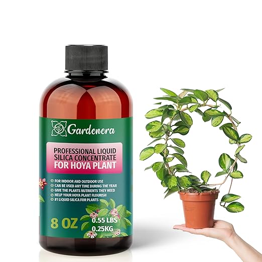 𝐏𝐑𝐄𝐌𝐈𝐔𝐌 Liquid Silica Plant Supplement - 8oz (250mL) - Hoya Plants Liquid Silica Boost Fertilizer - Stronger Stems & Healthy Leaves for Indoor & Outdoor Hoya Plants (Makes 45 Gallons)