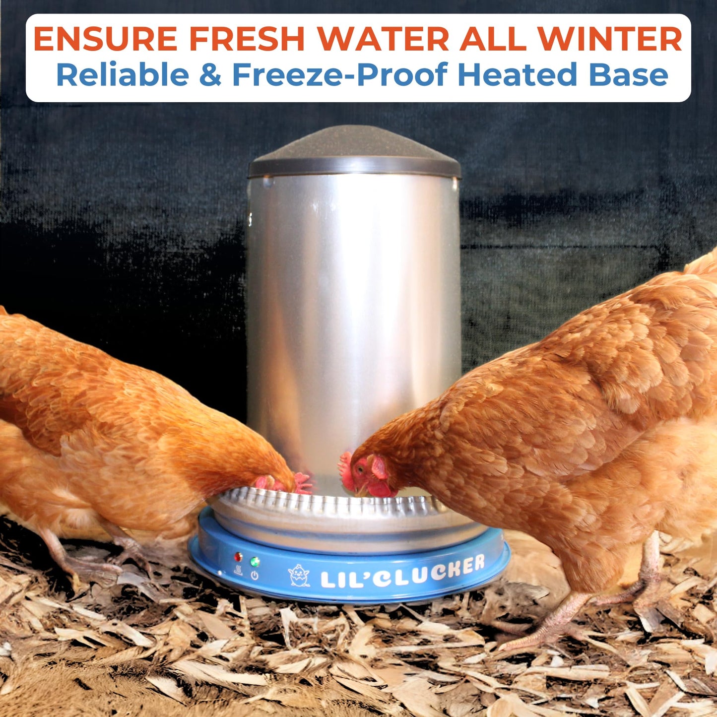 Lil'Clucker Heated Base for Chicken Waterer – Automatic Metal Freeze Proof Heated Chicken Waterer with Heater & LED – Poultry Heated Waterer for Winter (Blue, 15 Inch)